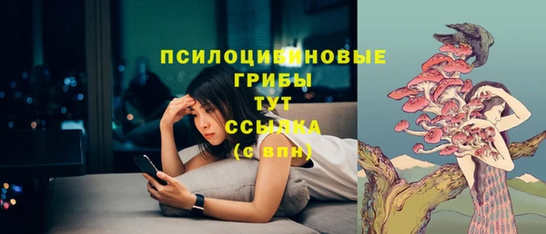 спиды Алексеевка