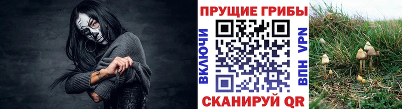 Галлюциногенные грибы прущие грибы Первоуральск